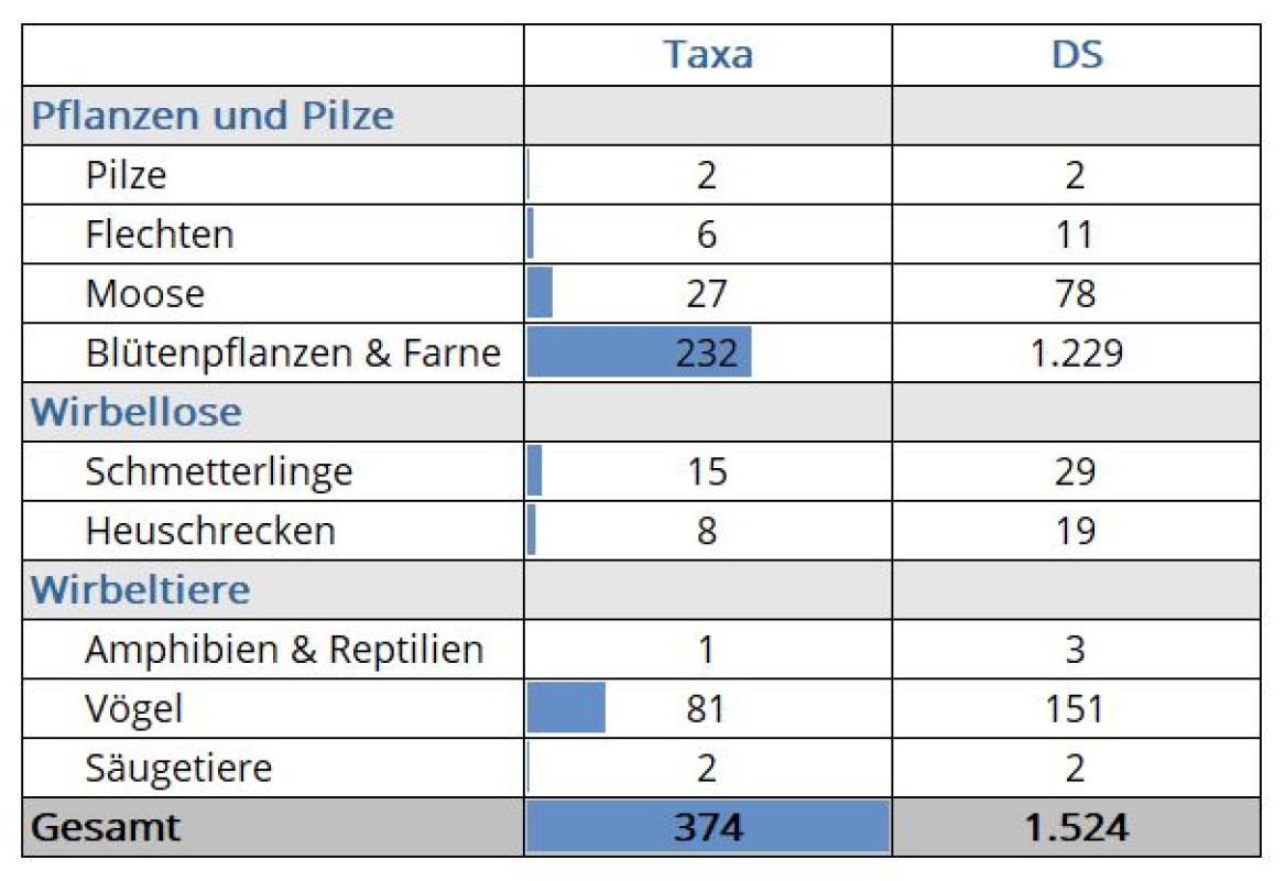 Datenstand vor dem TAV 2023