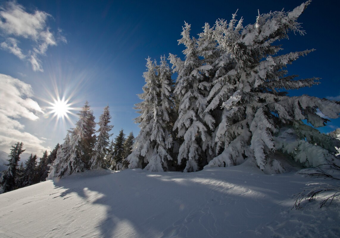 Winter TT cNationalparkHoheTauern Stefan Schmiedhofer