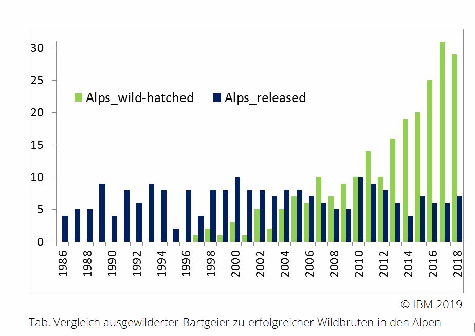 Wildbruten