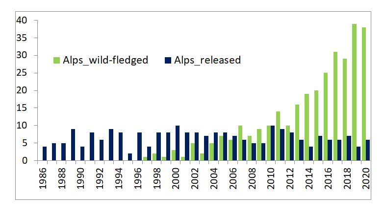 Freilassung Wildbahn Vergleich