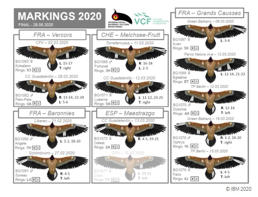 Markings2020