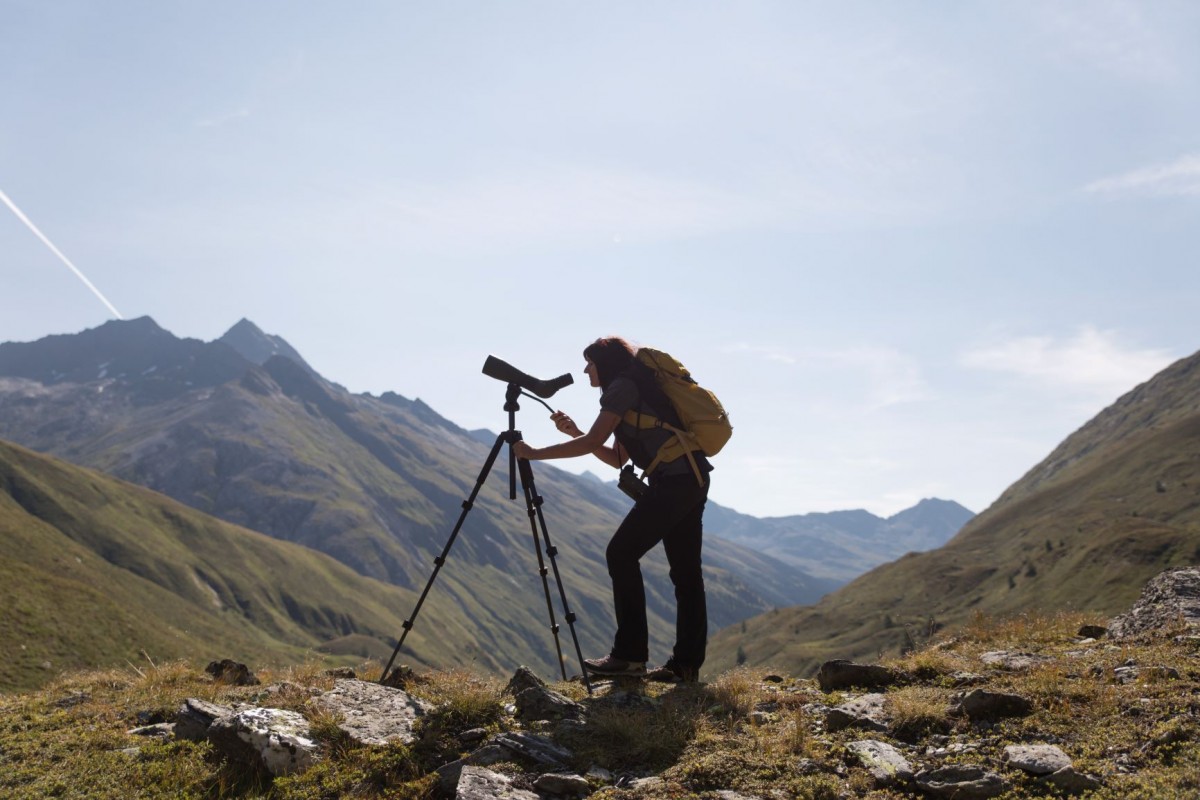 cNationalparkHoheTauern TW Bert Heinzlmeier9