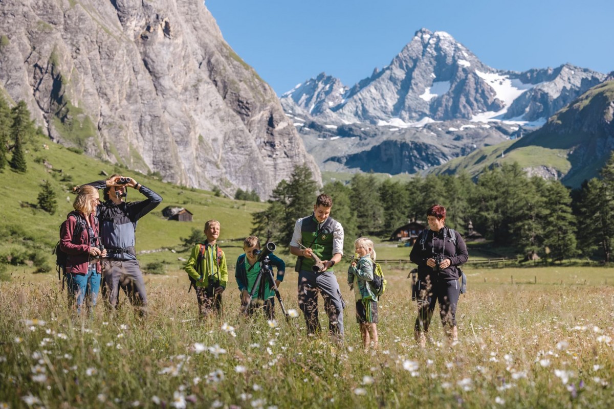 wildtierbeobachtung3 c nationalparkhohetauern mathäus gartner